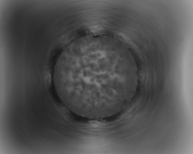 X0000090730703200707201409