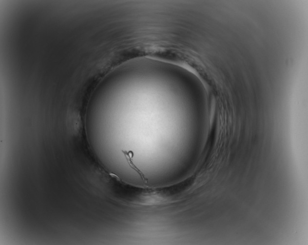 X0000090730704200707201409