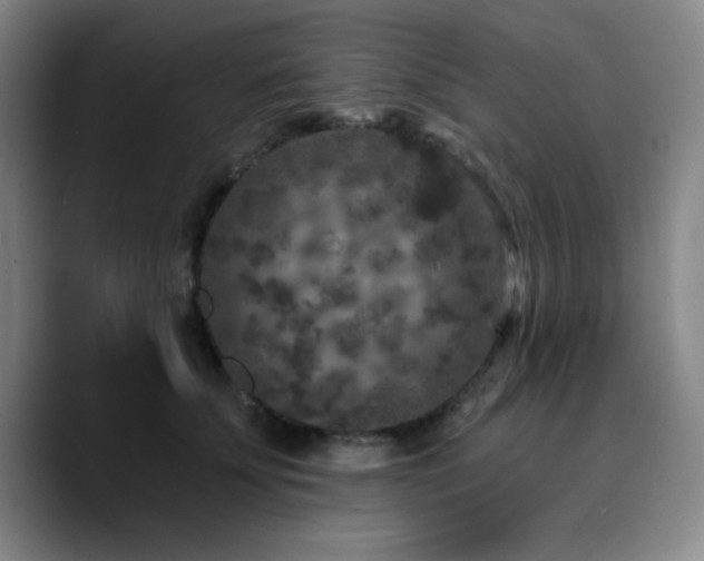 X0000090730707200707201409
