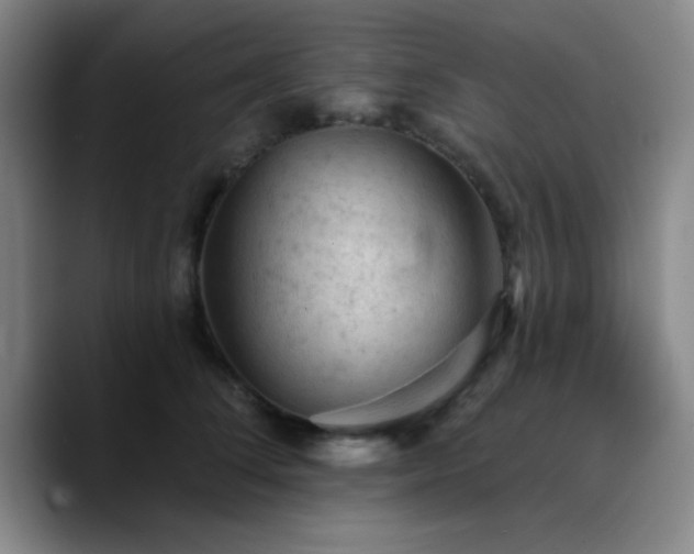X0000090730708200707201409