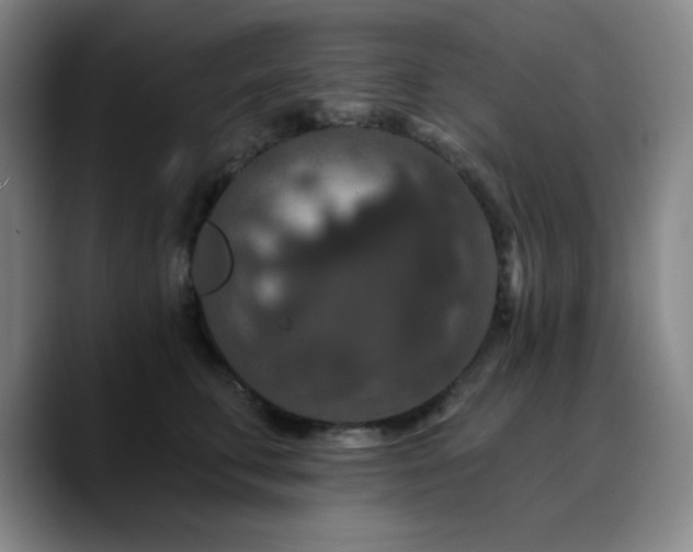 X0000090730711200707201409