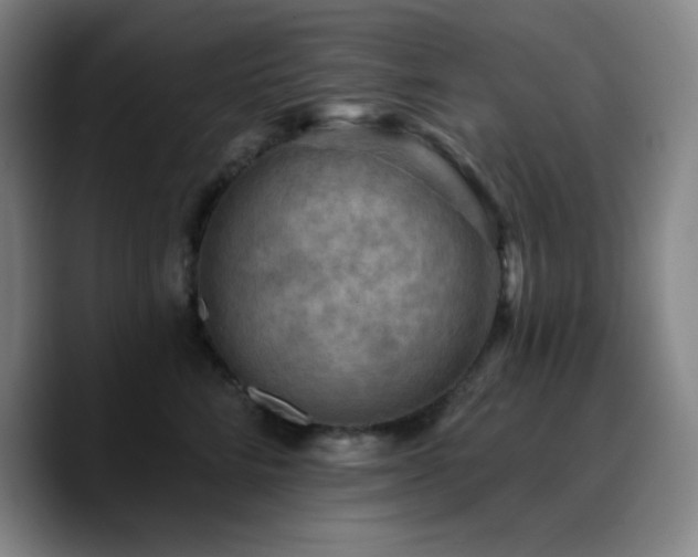 X0000090730712200707201409