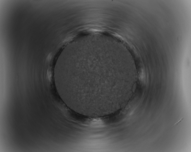 X0000090730715200707201409