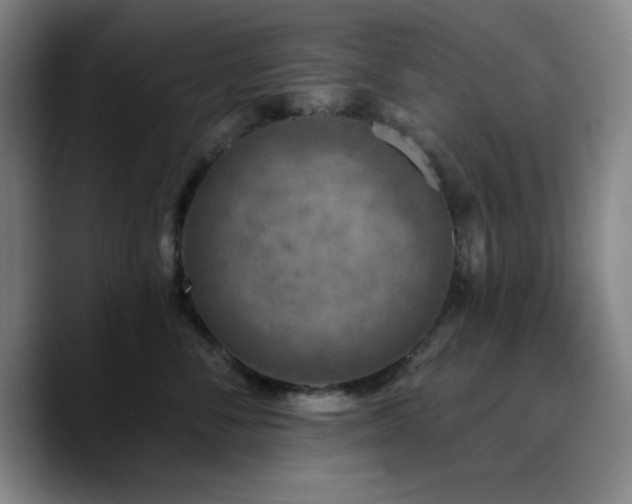 X0000090730716200707201409