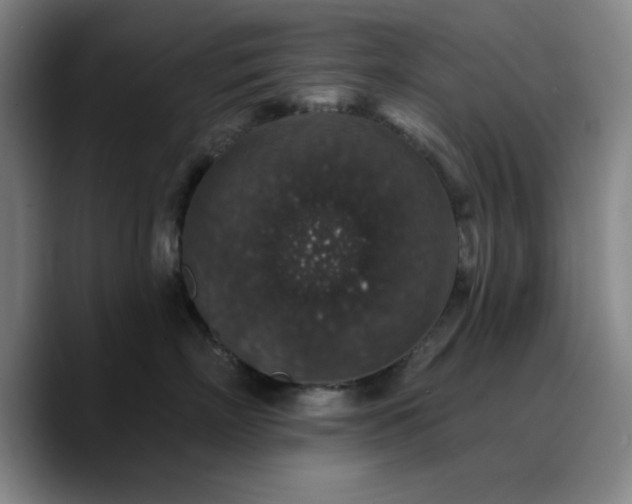 X0000090730718200707201409