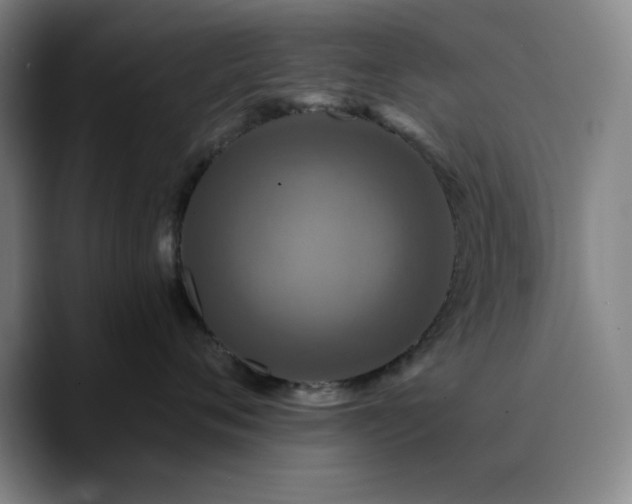X0000090730720200707201409