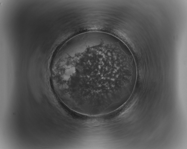 X0000090730721200707201408