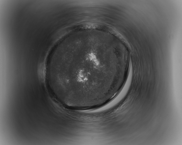 X0000090730722200707201408