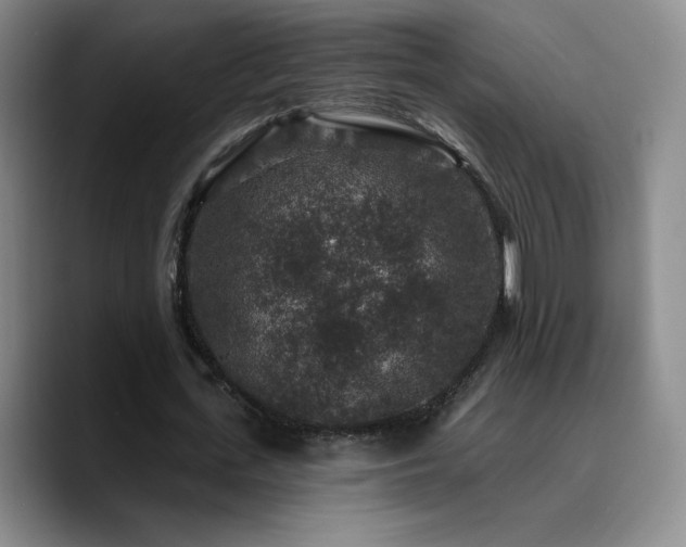 X0000090730723200707201408