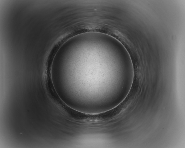 X0000090730727200707201408