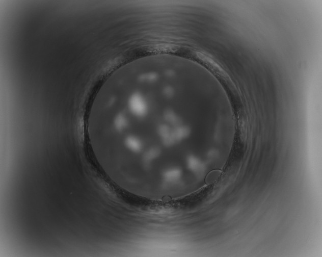 X0000090730729200707201408