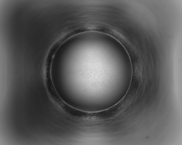 X0000090730730200707201408