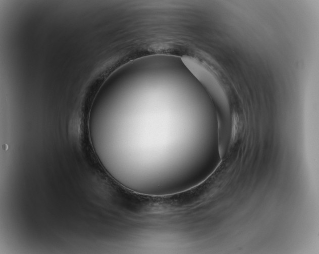 X0000090730732200707201408
