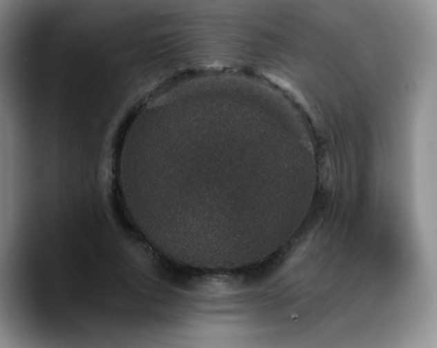 X0000090730736200707201408