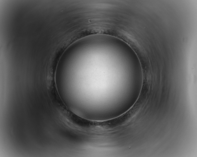 X0000090730737200707201408