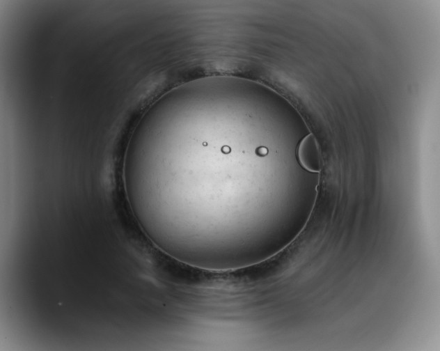 X0000090730738200707201408