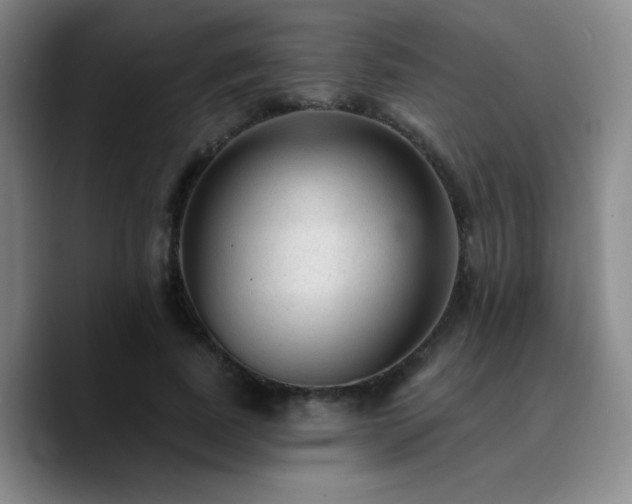 X0000090730739200707201408