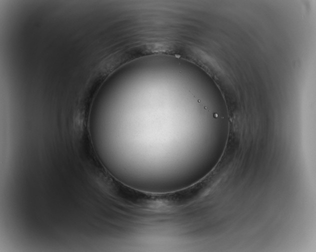 X0000090730741200707201408