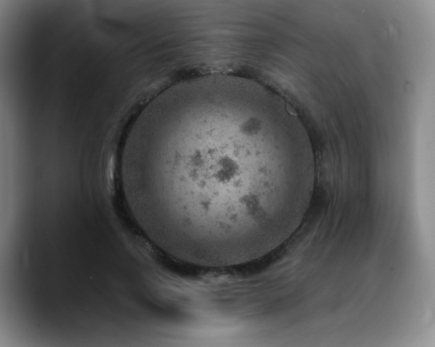 X0000090730742200707201408