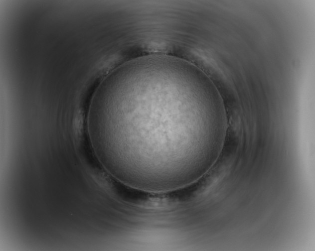 X0000090730744200707201408