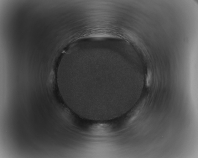X0000090730748200707201408