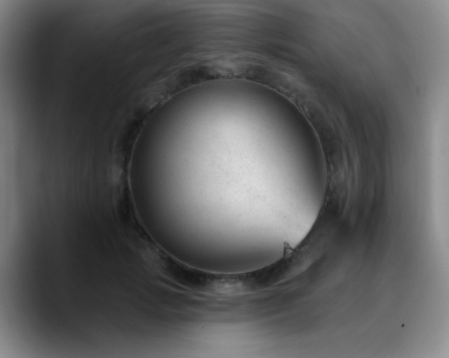 X0000090730749200707201408
