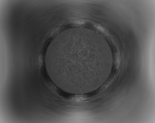 X0000090730758200707201408