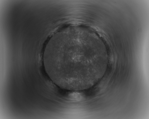 X0000090730759200707201408