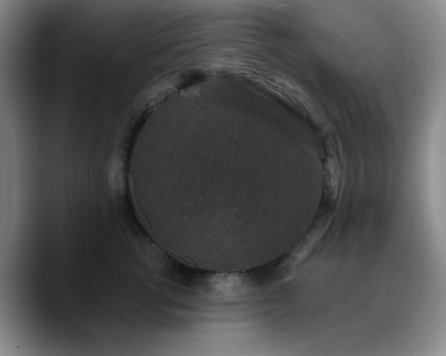 X0000090730762200707201408