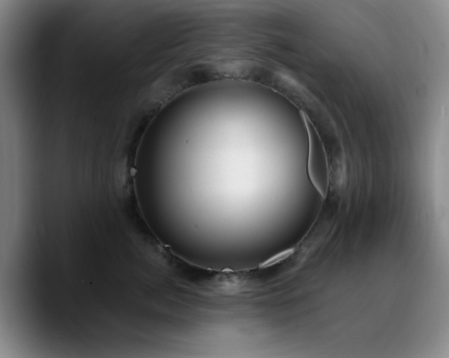X0000090730764200707201408