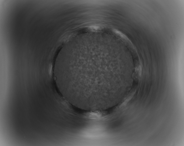 X0000090730765200707201408