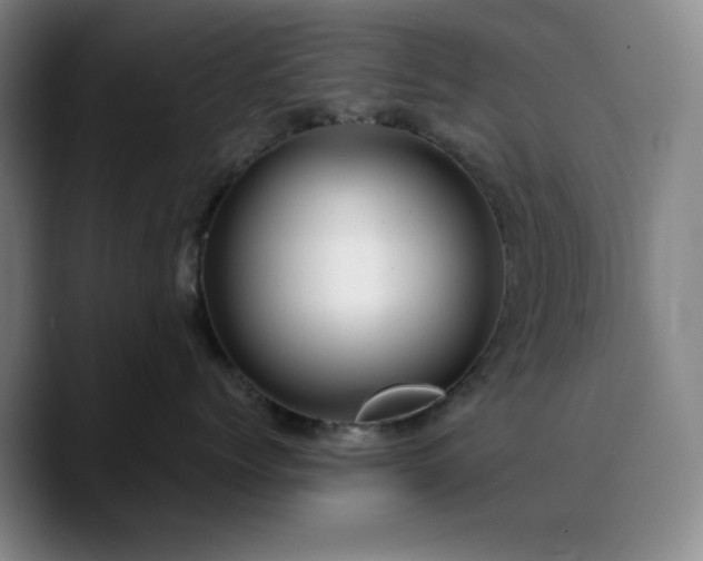 X0000090730768200707201409