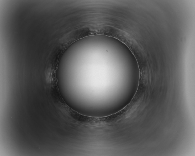 X0000090730770200707201408