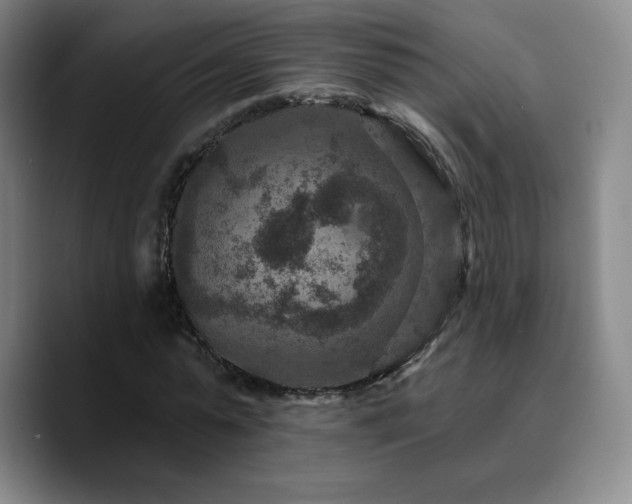 X0000090730775200707201408