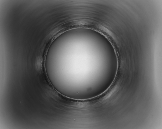 X0000090730778200707201408
