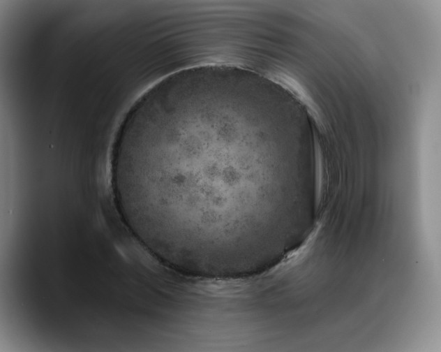 X0000090730780200707201408
