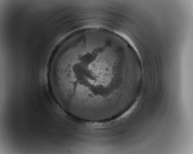 X0000090730783200707201408