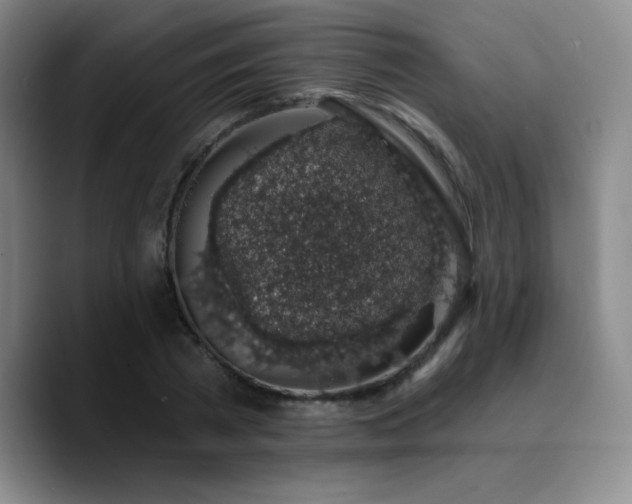 X0000090730785200707201408
