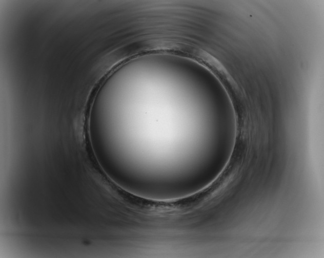 X0000090730786200707201408