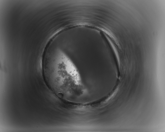 X0000090730790200707201408