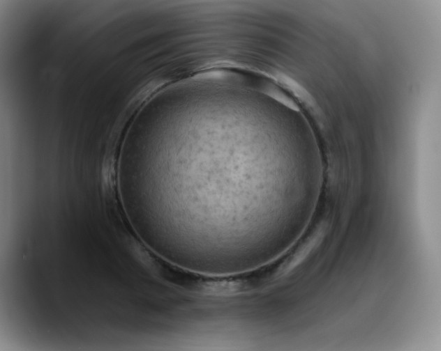 X0000090730793200707201408