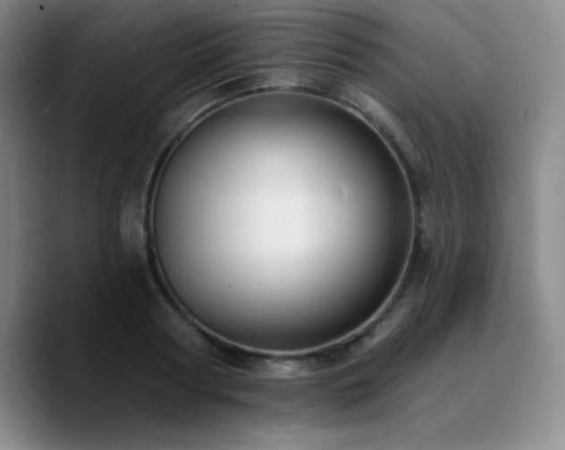 X0000090730794200707201408