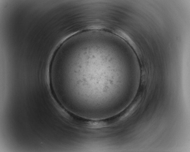 X0000090730795200707201408