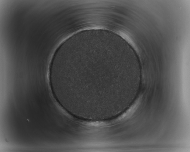 X0000090730797200707201408