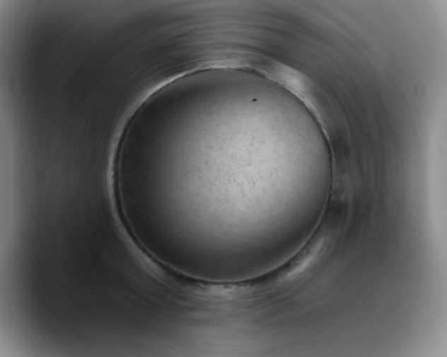 X0000090730803200707201407