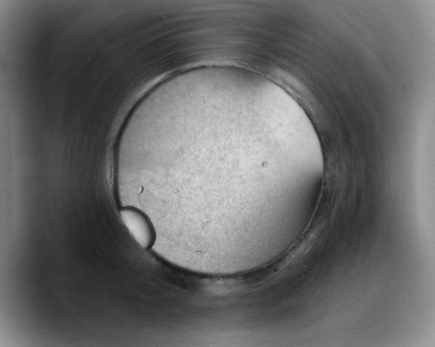 X0000090730804200707201407