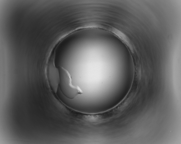 X0000090730805200707201407