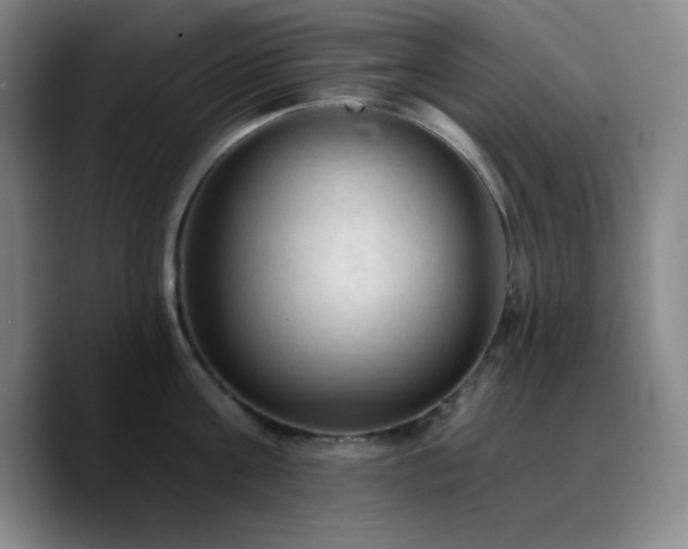 X0000090730811200707201407
