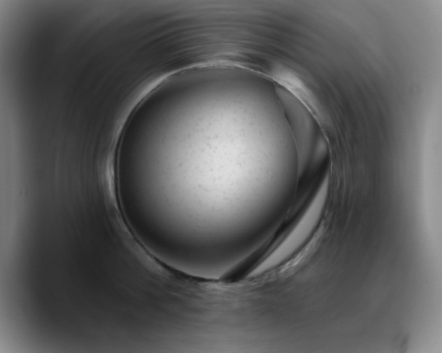 X0000090730812200707201407