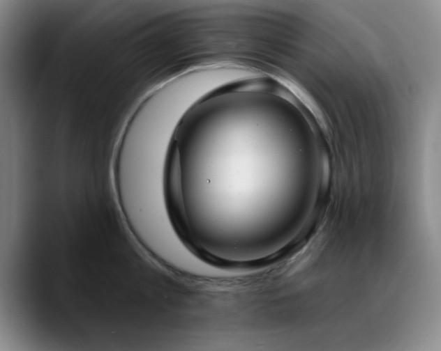 X0000090730813200707201407